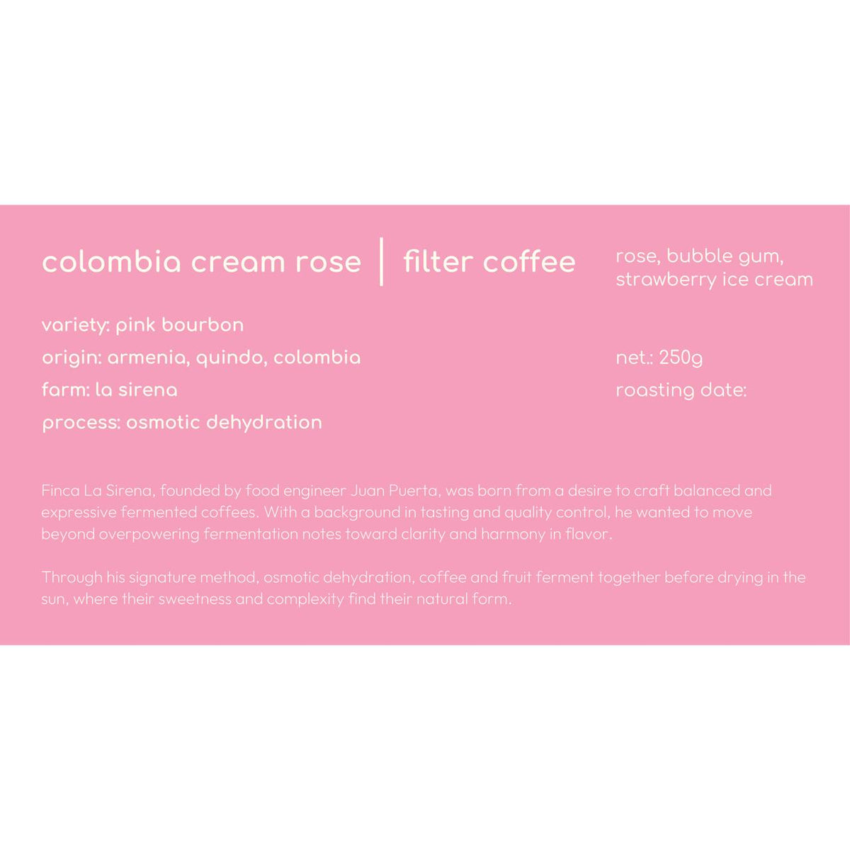 Cream rose