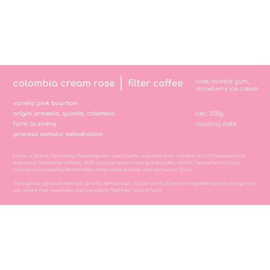Cream rose